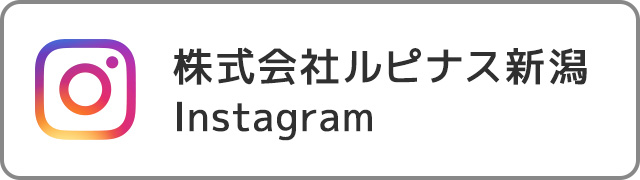 ������Ѓ��s�i�X�V�� Instagram